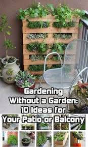 Garden designer marilyn waterman created her version of a homestead in her menlo park, ca yard. Making Messy Look Good Habitat Network