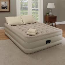 White Noise Pena 18 Air Mattress Reviews Wayfair