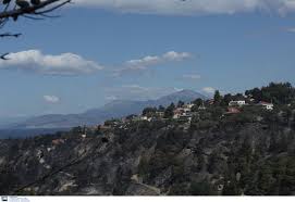 Η φωτιά στην αρχαία κόρινθο και συγκεκριμένα στην περιοχή φανάρια ξέσπασε το μεσημέρι του σαββάτου και συνεχίζει να μαίνεται στην περιοχή. Eikones Sok Apo Th Fwtia Sthn Korin8ia O Eyrwpaikos Doryforos Apotypwse Thn Katastrofh Ellada Iefimerida Gr