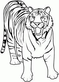 Tiger Ausmalbilder Ausmalbilder Fur Kinder Lowen Malvorlagen Ausmalbilder Ausmalen
