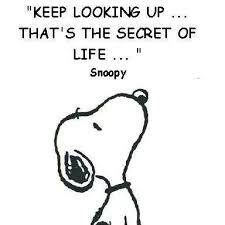 Keep Your Head Up Snoopy Quotes Inspirational Words Quotes
