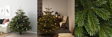 Sapin De Noel Ikea 2019 Carte Cadeau De 20 Offerte