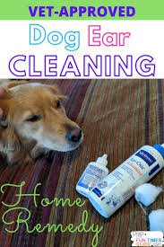 Pin On Doggy Diy