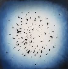 Upcoming Exhibition “After The Flood” by Faryn Davis of Fernworks