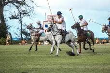 Polo Sundays on the North Shore — Clive Cup
