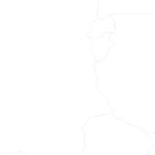 Image result for Megalochlamys revoluta