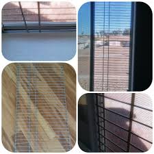 Make sure the window is closed so he doesn't fall out. Pin On Cat Diys