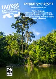 Jadikan game tree and fish ini sebagai aplikasi yang hanya untuk menghilangkan rasa 'suntuk' dikepala kamu.bermain saja! Pdf Expedition Report Forest Flagship Researching Conserving Critically Endangered Sumatran Tigers In Rimbang Baling Wildlife Reserve Sumatra Indonesia July August 2016