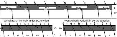 Https Www Kup At Kup Pdf 14491 Pdf