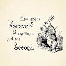 Pin By Indigo Moon On Tattoos Alice And Wonderland Quotes Wonderland Quotes Alice Quotes