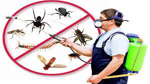 Best Pest Control Services In Dhaka