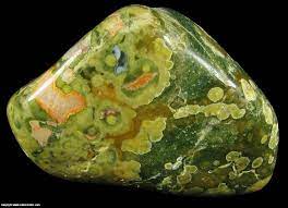 Polished Rainforest Jasper Mount Hay Queensland Australia Rainforest Jasper Rocks And Minerals Gems And Minerals