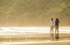 We did not find results for: Eksotisme Pantai Nanggelan Di Jember Pantai Surga