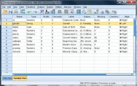 Spss Statistics For Students The Basics Spss Statistics Colleges For Psychology Research Methods