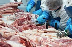 The virus causes a hemorrhagic fever with high mortality rates in domestic pigs. African Swine Fever Disrupts World Protein Picture 2019 06 11 Food Business News