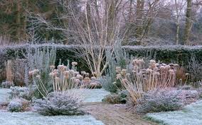 In Pictures Wonderful Winter Gardens Winter Garden Winter Plants Winter Landscape