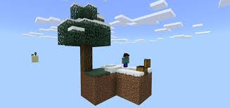 Make sure you have already installed minecraft forge. Skyblock Survival Minecraft Map