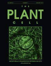 It is published by the american society of plant biologists. Plantae The Plant Cell Plantae