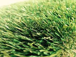 Faux Lawn By The Pool Daytona 80 The Synthetic Grass Store Synthetic Grass Grass Artificial Grass