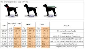 How To Make Puppy Stop Chewing Pet Clothing Size Chart