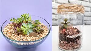 Allí las plantas necesitan poco mantenimiento y son ideales para las personas con poco tiempo para mantener un jardín. Aprende Como Hacer Tu Propio Terrario De Cactus Y Suculentas En Una Pecera