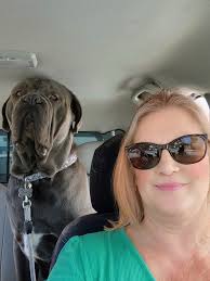 Hi can you do some Neapolitan mastiff please 😊 x