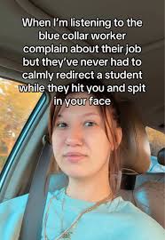 Understanding the Role of Paraprofessionals in Education