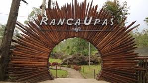 Ranca upas merupakan bumi perkemahan yang sekaligus merangkup sebagai tempat wisata kekinian bagi pecinta alam. Ranca Upas Tiket Paket Camping Agustus 2021 Sewa Tenda
