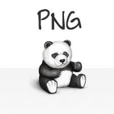 ما الفرق بين صيغ الصور Jpg Gif Png وما الفرق بين استخدامات كل صيغة غريبة Png Teddy Bear Teddy