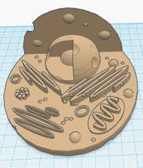 Maybe you would like to learn more about one of these? 3d Printed Animal Cell Model By Cc Pinshape
