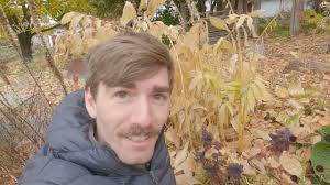 How to divide/propagate Solomon's Seal