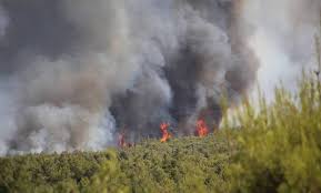 Η πυρκαγιά είναι στον δήμο αχαρνών. 63gcrpbk81ytqm