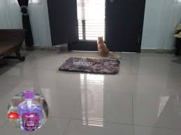 Mozaik semakin populer untuk mempercantik elemen bangunan. Wanita Ni Kongsi Petua Mudah Jika Mahu Lantai Berkilat Tak Berbekas Dengan Kesan Tapak Kaki Si Bulus Keluarga