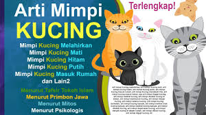 Check spelling or type a new query. Arti Mimpi Kucing Mimpi Kucing Melahirkan Kucing Masuk Rumah Kucing Putih Mimpi Kucing Hitam Youtube