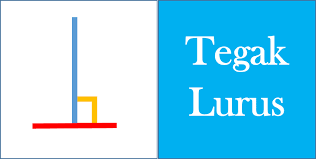 We did not find results for: 8 Soal Mencari Gradien Garis Yang Tegak Lurus Dengan Garis Lain Solusi Matematika