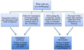 Juvenile Court Process Advokids A Legal Resource For