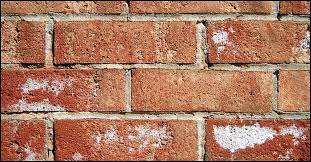 Then start lightly scrubbing the dirty spots with a rag or sponge. Brick Efflorescence Effective Removal And Prevention Tips Prosoco