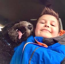 Australian shepherd passes eye exam