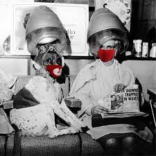 Is It Safe To Get A Haircut During The Pandemic Expert Advice On Visiting A Hair Salon