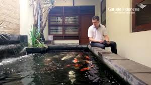 Jumlah ikan di dalam kolam dikondisikan agar tidak terlalu padat, sehingga ikan memiliki ruang gerak yang cukup. Suka Ikan Koi Cara Pemeliharaan Dan Membuat Kolam Agar Ikan Tak Mati Semua Halaman Idea