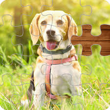 Or maybe a few do. Accept Mustar Portal Jigsaw Puzzle Game Download Tallahasseefluteclub Org