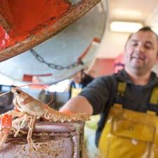 Les Langoustines Tourisme Bretagne