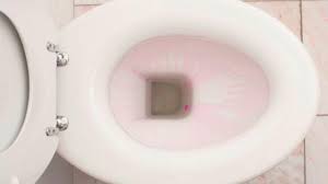 Pin On Household Tips