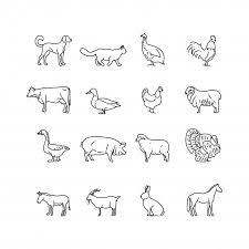 Check spelling or type a new query. Farm Animals Thin Line Icons Set Outline Cow Pig Chicken Horse Rabbit Goat Donkey Sheep Geese Symbols Animal Outline Animal Line Drawings Animal Doodles