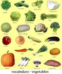 Food And Cooking Vegetable Pictures Vegetables Spanish Food Vocabulary