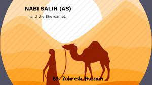Ten days later, there was another attack on police, this time in baton rouge. Nabi Salih By Zohresh Hussain