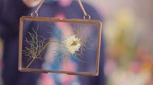 Learning how to arrange flowers can be simple, especially if you have a few tips and tricks up your sleeve. Diy Make Your Own Dried Flower Hanging Frame Funny How Flowers Do That