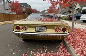 Image result for Honey Gold 1972 Barracuda