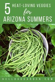 Green beans are one of the best vegetables to grow in az. In Arizona We Garden Year Round But That Doesn T Mean We Can Grow Everything All Year Luckily Organic Vegetable Garden Arizona Gardening Growing Vegetables