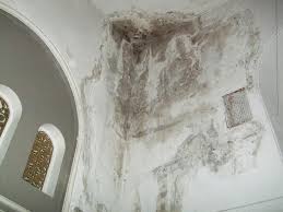 Humidite Dans La Maison Et Effet De La Chaleur En 2020 Humidite Mur Humidite Cave Pont Thermique